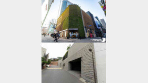 ‘땅값 1위’ 명동 네이처리퍼블릭…‘표준주택 공시가 1위’ 이명희 회장 자택
