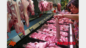 중국 아프리카 돼지열병 확산·변이도 확인…당국은 ‘쉬쉬’