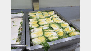 중국산 재료 써놓고 “국내산 김치”…50대 업주 송치