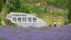 지역사회와 더 가까이, 인재 양성은 더 멀리 바라보는 시멘트업계