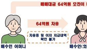 외국인이 ‘엄마찬스’ 편법증여로 64억 주택 매수…취업 비자로 임대업