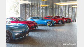 [베스트컷]뉴질랜드 3000km 누빈 페라리 ‘푸로산게’