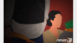 남의 텃밭에서 상추·고추 등 15만원 상당 훔친 50대 여성 징역 6개월