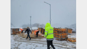 고속도로에 닭 3000마리, 눈길 운반트럭 중앙분리대 쾅
