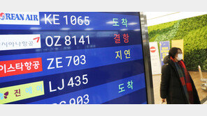 “잠깐 눈 좀 치우고 갈게요”…제주공항 항공기 줄줄이 ‘지연’