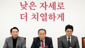 與, 26일 전국위 소집 의결…‘한동훈 비대위원장 임명’ 상정