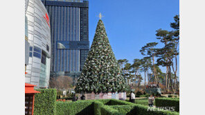 영하 15도 한파에도…‘화이트 크리스마스’ 기대감 솔솔