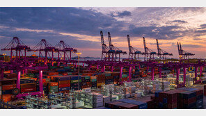 컨테이너 물동량 신기록 앞둔 IPA, 잇단 낭보