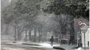 이틀째 꽁꽁 언 제주…적설량 1m육박 · 눈 더 내릴 듯