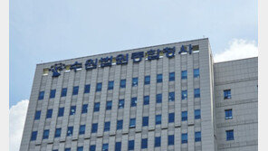 10대에게 디스코팡팡 티켓 강매·성매매 시킨 일당 ‘실형’