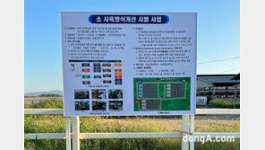 농협, ‘소 사육방식 개선 시범사업’ 사육 월령별 한우 본격 출하