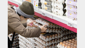 고병원성 AI 확산에도 달걀값 하락세…“폭등 대비 미국산 100만개 수입”