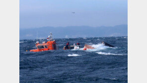 포항 호미곶 앞바다서 어선 전복…선장 등 4명 인근 어선에 구조
