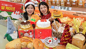 “쌀로 만든 케이크 어때요”