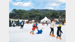 “공공 스케이트-눈썰매장 놀러오세요”