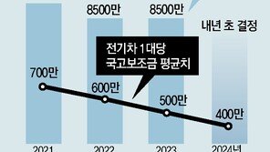 내년 전기차 보조금 대당 100만원 축소… 판매둔화 겹친 업계 한숨