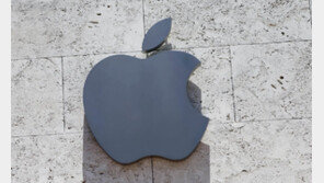 ‘특허 분쟁’ 애플워치, 출시 3개월 만에 미국서 판매 중단