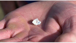 유리인줄…美공원서 4.87캐럿 다이아몬드 주워 ‘대박’