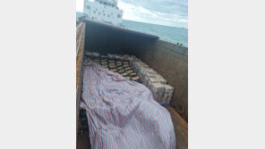 北으로 담배 재료 밀반출하려다 선원에 딱 걸려…선장 등 3명 검거