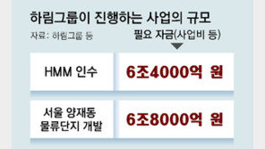 하림, HMM 인수-양재동 개발에 13조 필요… 자금확보 우려 나와 
