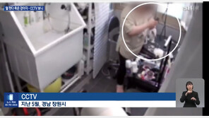 미용사가 강아지 머리 때려 즉사…애견숍은 7개월째 영업 
