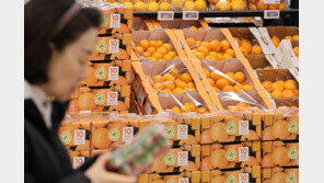 12월·연간소비자물가 내일 나온다…“연간 3.6% 유력”