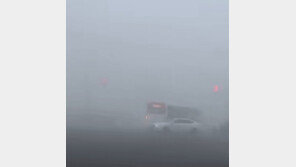 “50미터 앞도 안 보이네”…중국 안개 적색 경보 발령