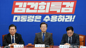 민주당, 쌍특검 2~3월 재의결 추진…여권발 이탈표 노리나