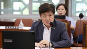 내년 현충일·광복절 황금 연휴되나…임시공휴일 두달전 지정 법안 발의