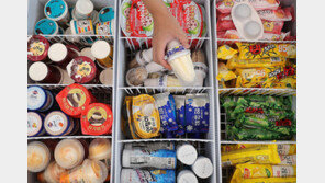 생필품 가격 평균 6.2% 상승…아이스크림 가장 많이 올랐다