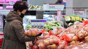 ‘금값 과일’ 사과 54%·복숭아 44% 상승… “당분간 높은 가격”
