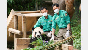 ‘푸바오 할아버지’ 향한 도 넘은 비난…에버랜드 “삭제 조치할 것” 경고  