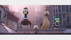 청둥오리 가족이 떠나는 모험여행… “오리 스튜디오 데려와 움직임 관찰”