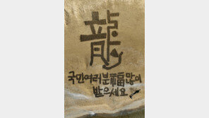 “용의 해… 힘차게 도약하세요” 