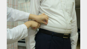 “새해엔 다이어트” 男 허리둘레 4년간 1㎝ 늘어… 女는?