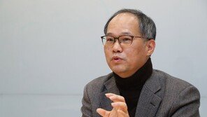 “플랫폼법이 국내기업 잡는 사이 외국업체가 시장 점령 우려” 