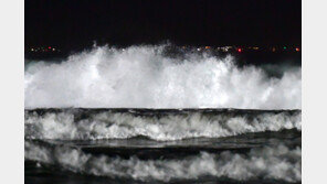 日 지진 여파…강원 묵호에 높이 67㎝ 지진해일 관측