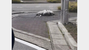 강 통째로 출렁, 아스팔트 바닥은 꿀렁…긴박했던 日강진 현장