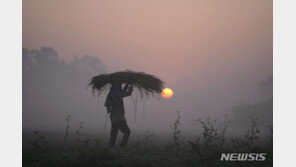 ‘인플레 공포’서 못 벗어나는 아시아…“쌀값 잡아라”