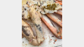 노량진 이어 속초도 ‘상한 대게’ 논란…음식점 “흑변현상”