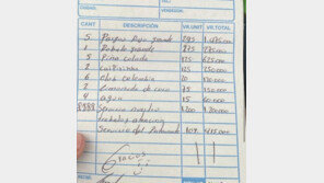 레모네이드 2잔 200만원?…‘이 나라’ 바가지요금 주의보