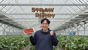 “되는 농사 짓겠습니다” 청년 3인방의 유쾌한 딸기 도전