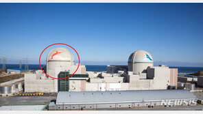 신한울 1호기, 터빈 정지에 이어 원자로도 정지… 원인 파악 중