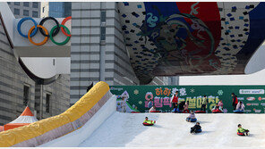 “겨울방학에 뭐하지?” 서울 곳곳 눈썰매장·눈놀이터 ‘풍성’