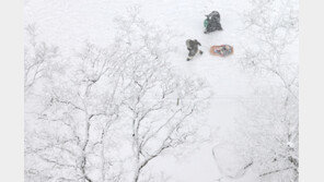 전국 곳곳 눈 펑펑 ‘최대 10㎝’…오후부터 추워져, 빙판 주의