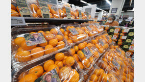 한파·폭설에 과일·채솟값 ‘비상’…설 앞두고 서민 부담 가중