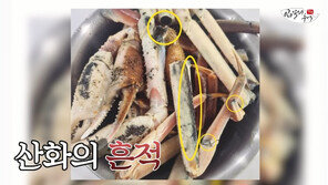 “‘노량진 대게’ 썩은 거 아냐…日서도 논란, 흑변일 뿐” 어류 전문가 주장