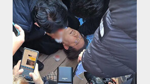 ‘이재명 대표’ 습격 피의자 文평산마을 범행도 계획했나?