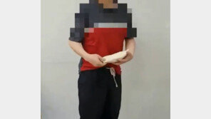 생리대 차고 입국한 남성들…알고보니 마약 밀수·유통 조직원