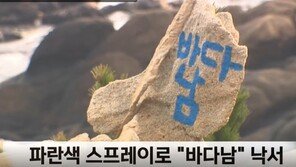 경복궁에 이어 이번엔 울산 문무대왕 왕비석에 낙서…스프레이로 ‘바다남’